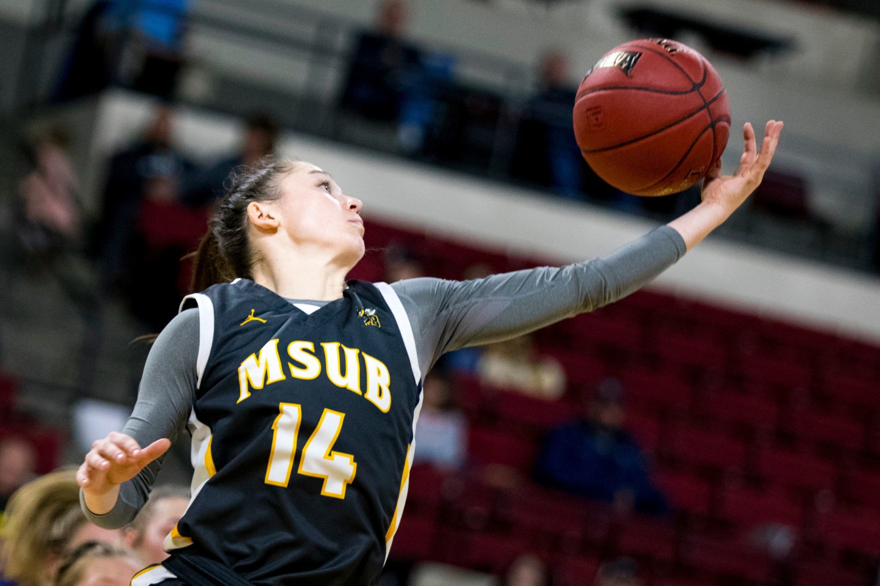 Rocky Mountain College vs. MSU Billings